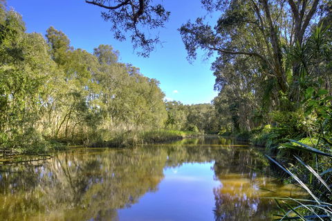 Sapphire Beach Holiday Park - Accommodation Coffs Harbour 1