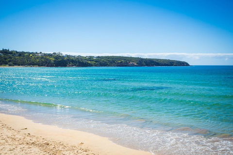 Seachange Apartments Merimbula - Accommodation Coffs Harbour 2