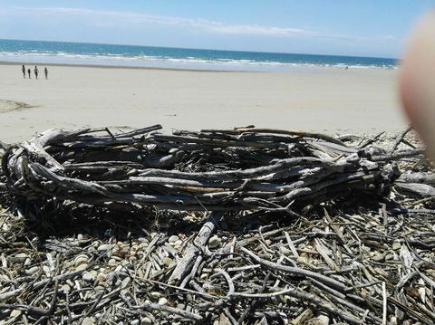 SEASAND HIDEAWAY - Accommodation Coffs Harbour 0