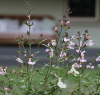 Serendipity on Allyn - Accommodation Coffs Harbour