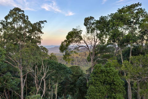 Serenity At Ravensbourne Escape - Accommodation Coffs Harbour 1