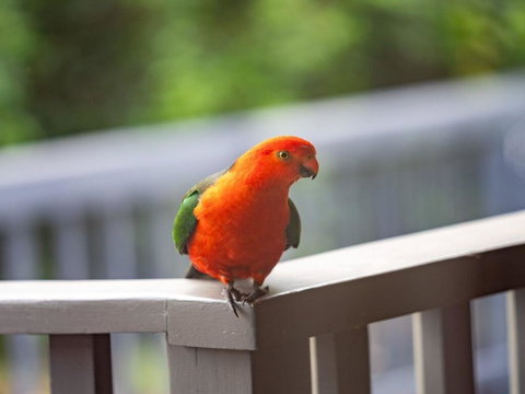 Seven Smiles - Riverside Location And Ocean Views - Accommodation Coffs Harbour 1