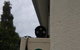 Single Room In Wollongong Near Uni - thumb 2