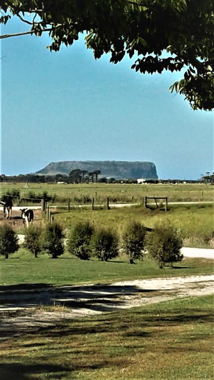 Sleepy Hollow Hideout - Hideout 1 - Accommodation Coffs Harbour 3