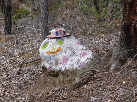 Splendid Wren Cottage - Accommodation Coffs Harbour 3
