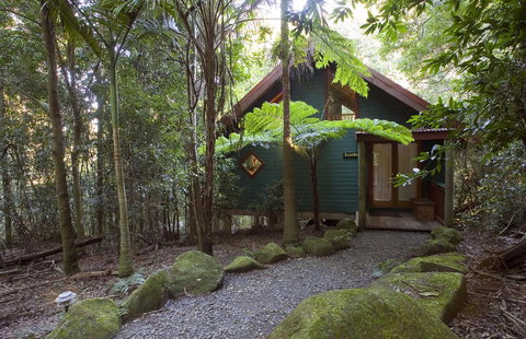 Springbrook Lyrebird Retreat - Accommodation Coffs Harbour 1