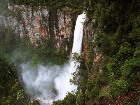 Springbrook Lyrebird Retreat - Accommodation Coffs Harbour 2
