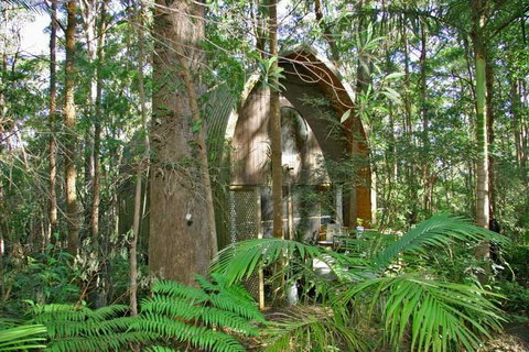 Springbrook Mountain Chalets - Accommodation Coffs Harbour 0