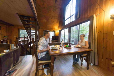 Springbrook Mountain Chalets - Accommodation Coffs Harbour 2