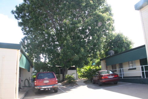 Star Inn Accommodation - Accommodation Coffs Harbour 3