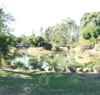 Still Waters - Accommodation Coffs Harbour