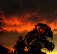 Taits Place Vineyard B  B - Accommodation Coffs Harbour