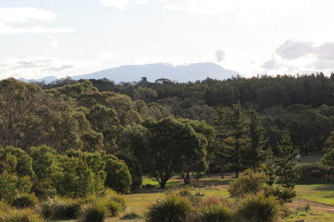 Catherine Lodge Farm Gate Cottages - Accommodation Coffs Harbour 21
