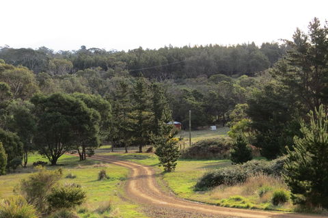 Catherine Lodge Farm Gate Cottages - Accommodation Coffs Harbour 20