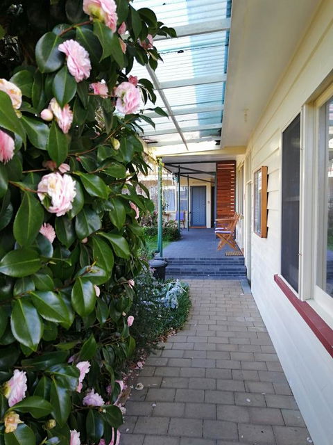 Wintersun Gardens Motel - Accommodation Coffs Harbour 5