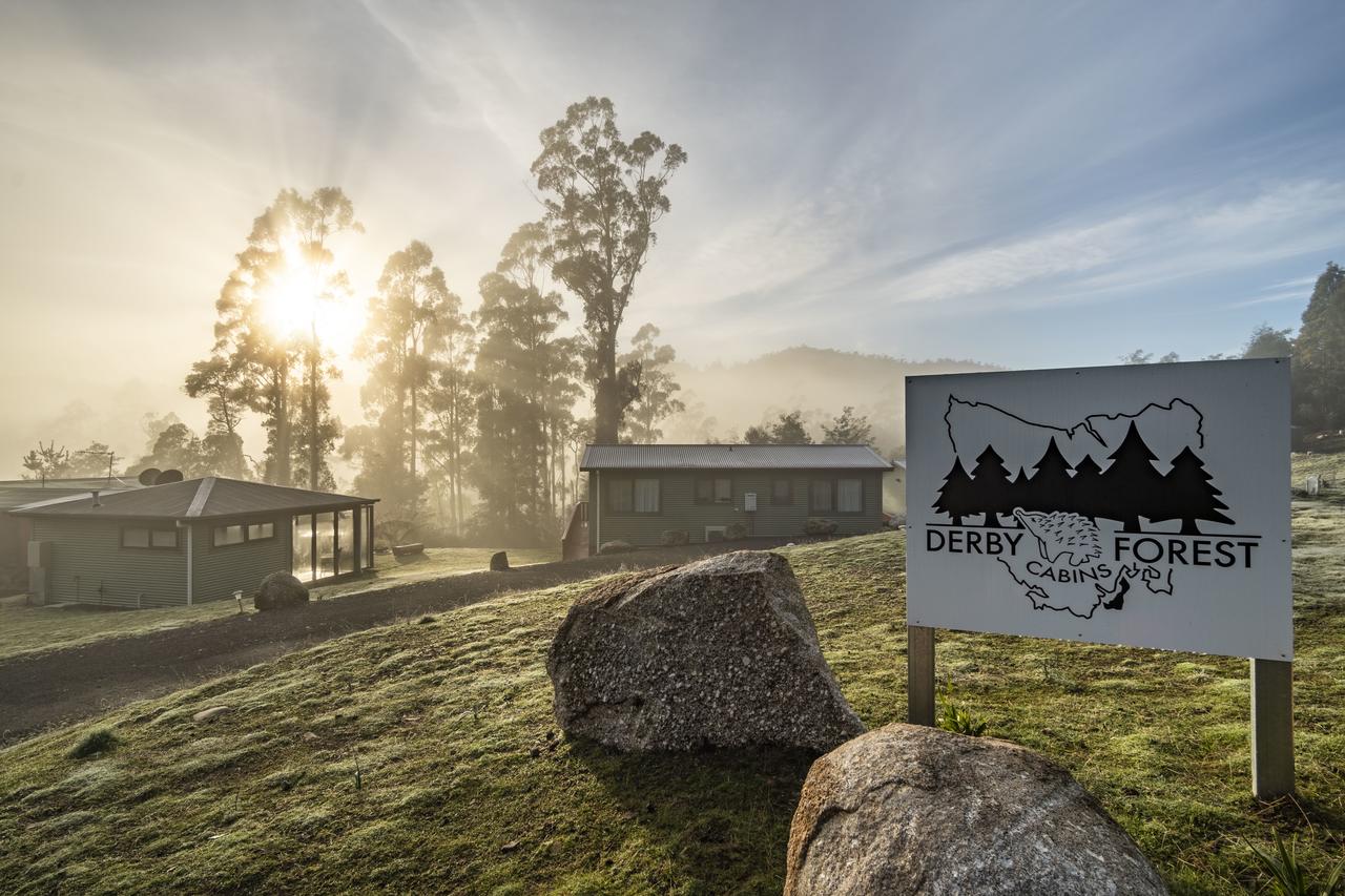 Derby TAS Accommodation Coffs Harbour