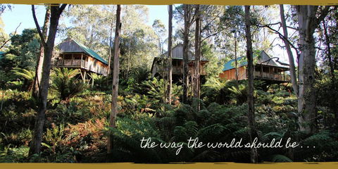 Lemonthyme Wilderness Retreat - Accommodation Coffs Harbour 20