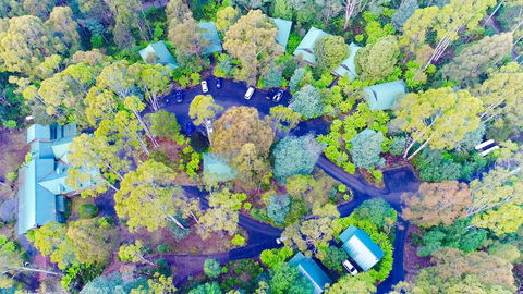 Lemonthyme Wilderness Retreat - Accommodation Coffs Harbour 1