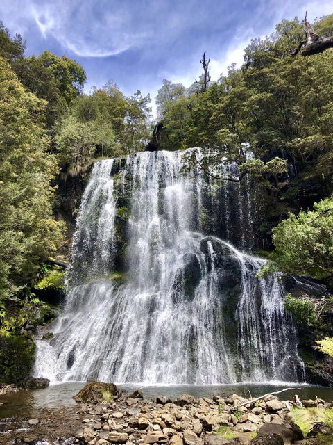 Lemonthyme Wilderness Retreat - Accommodation Coffs Harbour 9