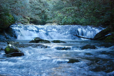 Lemonthyme Wilderness Retreat - Accommodation Coffs Harbour 10