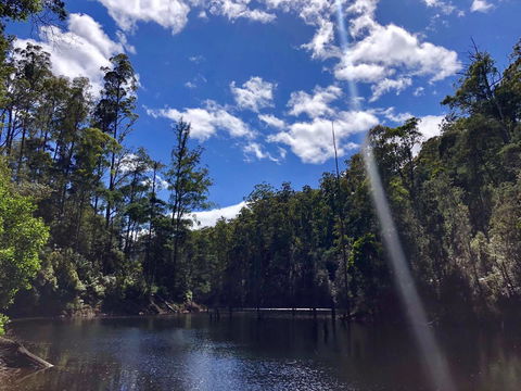 Lemonthyme Wilderness Retreat - Accommodation Coffs Harbour 7