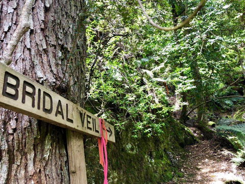 Lemonthyme Wilderness Retreat - Accommodation Coffs Harbour 18