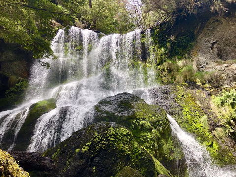 Lemonthyme Wilderness Retreat - Accommodation Coffs Harbour 14