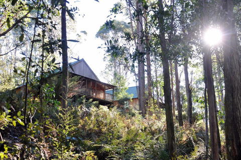 Lemonthyme Wilderness Retreat - Accommodation Coffs Harbour 25