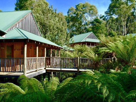 Lemonthyme Wilderness Retreat - Accommodation Coffs Harbour 11