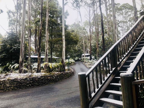 Lemonthyme Wilderness Retreat - Accommodation Coffs Harbour 15
