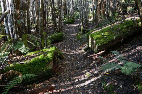 Lemonthyme Wilderness Retreat - Accommodation Coffs Harbour 22