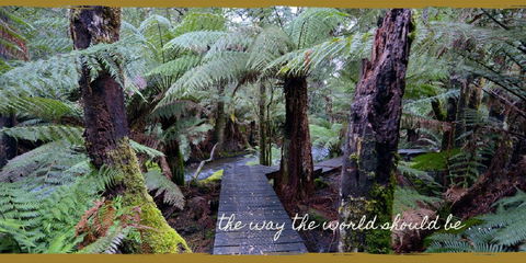 Lemonthyme Wilderness Retreat - Accommodation Coffs Harbour 17