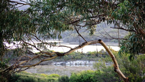 KINGFISHER COTTAGE Beachfront At The Binalong Bay - Accommodation Coffs Harbour 17