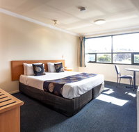 Black Buffalo - Accommodation Coffs Harbour