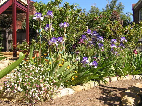 Bendalls Bed And Breakfast - Accommodation Coffs Harbour 10