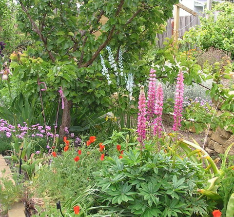 Bendalls Bed And Breakfast - Accommodation Coffs Harbour 14
