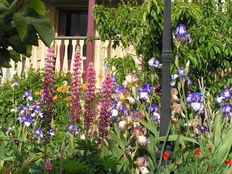 Bendalls Bed And Breakfast - Accommodation Coffs Harbour 19