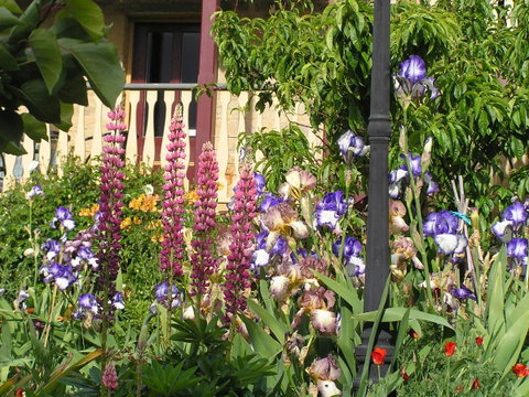 Bendalls Bed And Breakfast - Accommodation Coffs Harbour 8