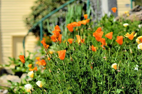 St. Pauls Bed & Breakfast - Accommodation Coffs Harbour 44