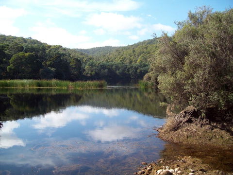 St. Pauls Bed & Breakfast - Accommodation Coffs Harbour 11