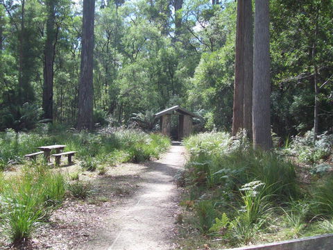 St. Pauls Bed & Breakfast - Accommodation Coffs Harbour 5