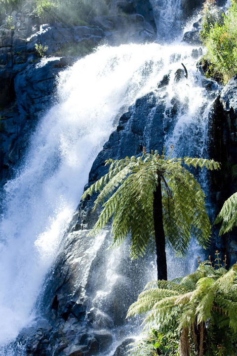Tower Motel Marysville - Accommodation Coffs Harbour 23