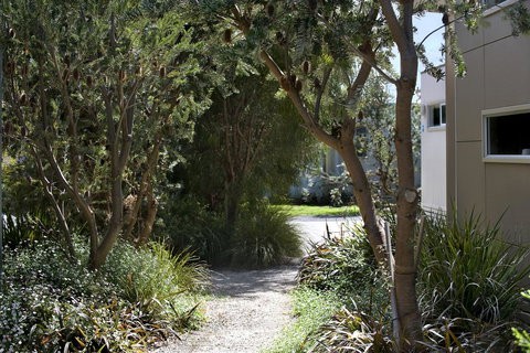 BIG4 Ingenia Holidays Queenscliff Beacon - Accommodation Coffs Harbour 13