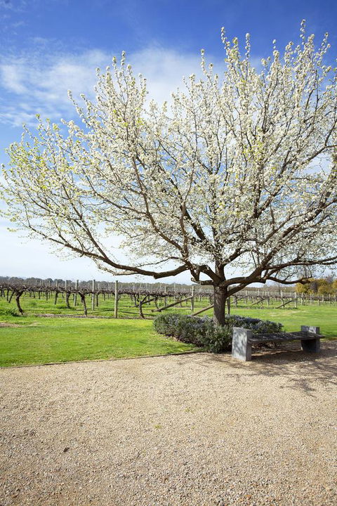 Lancemore Milawa - Accommodation Coffs Harbour 12