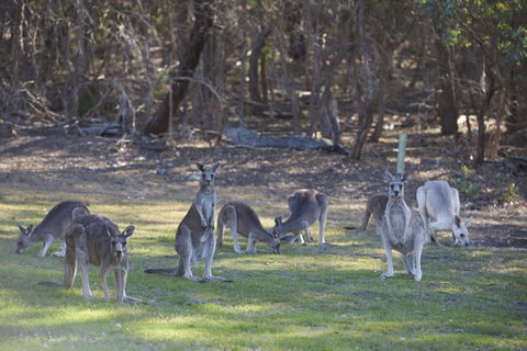 Yering Gorge Cottages - Accommodation Coffs Harbour 14