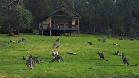 Yering Gorge Cottages - Accommodation Coffs Harbour 6