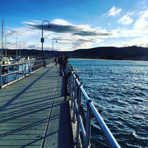 The Dolphin Apartments - Accommodation Coffs Harbour 16