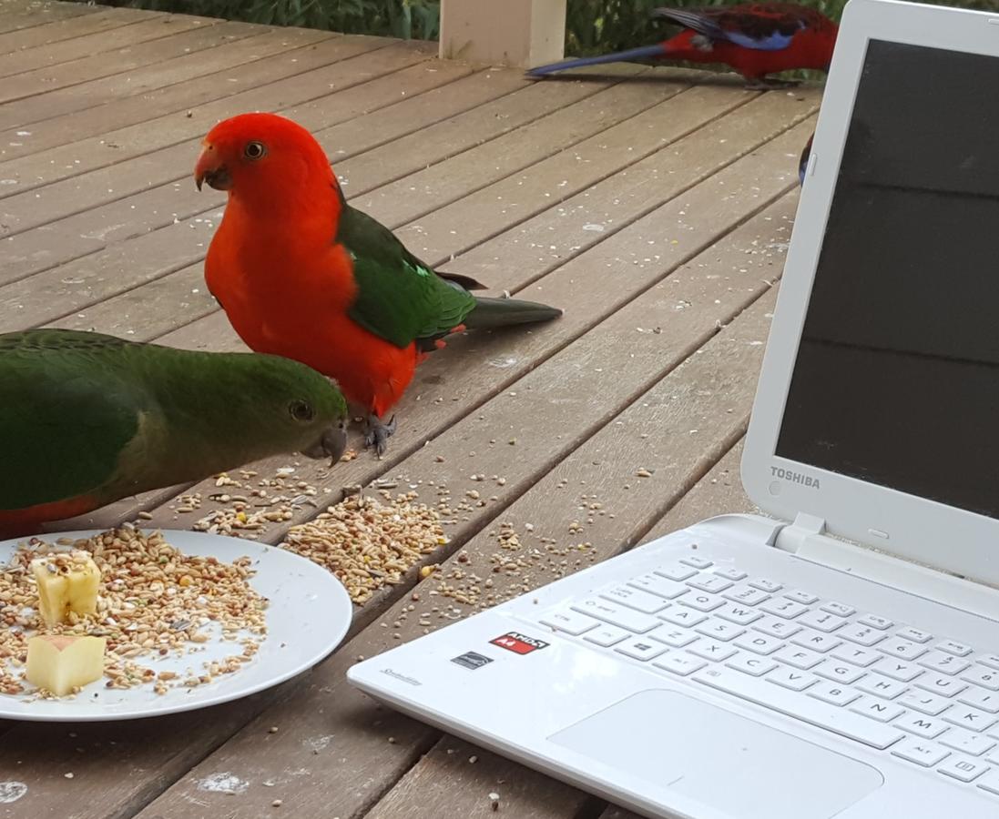  Accommodation Coffs Harbour