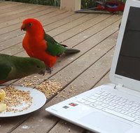 Wilsons Promontory Motel - Accommodation Coffs Harbour