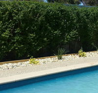 Robinvale Bridge Motel - Accommodation Coffs Harbour